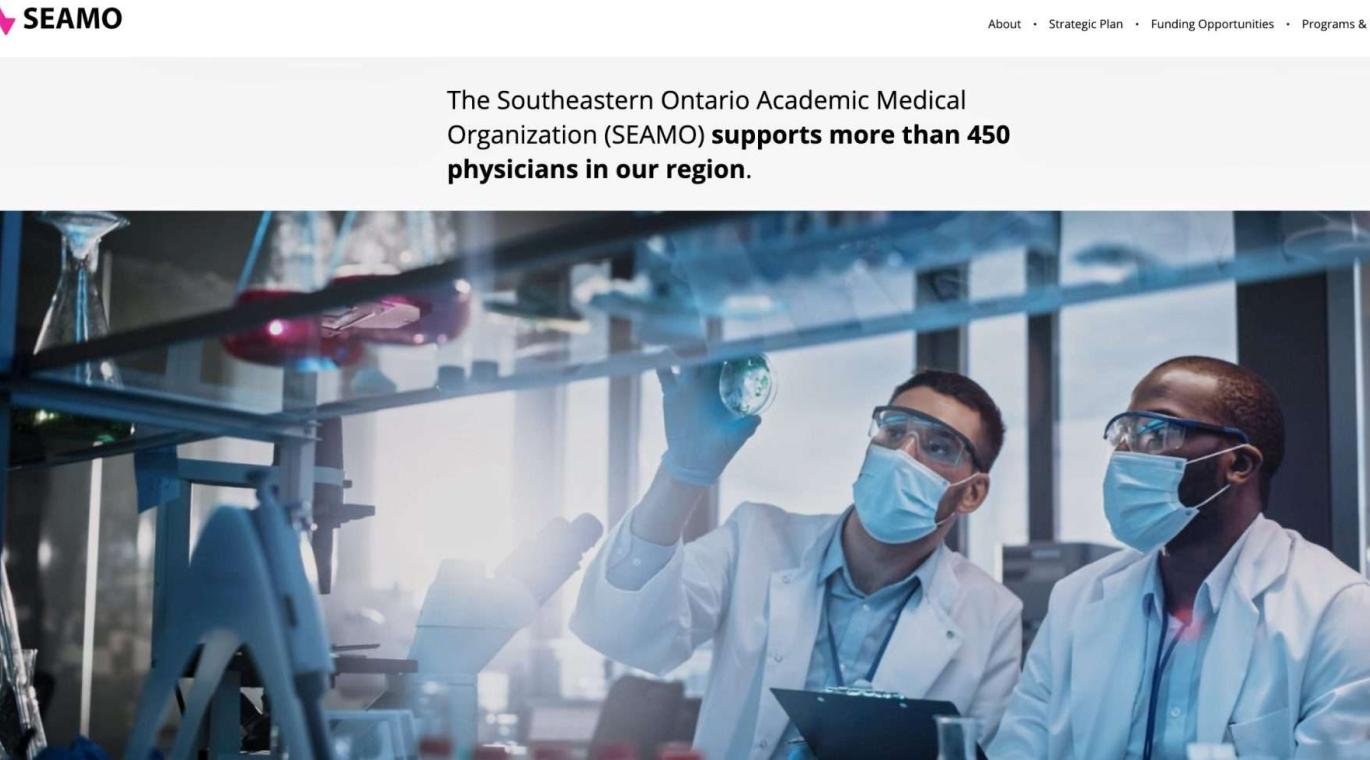 screenshot of SEAMO website